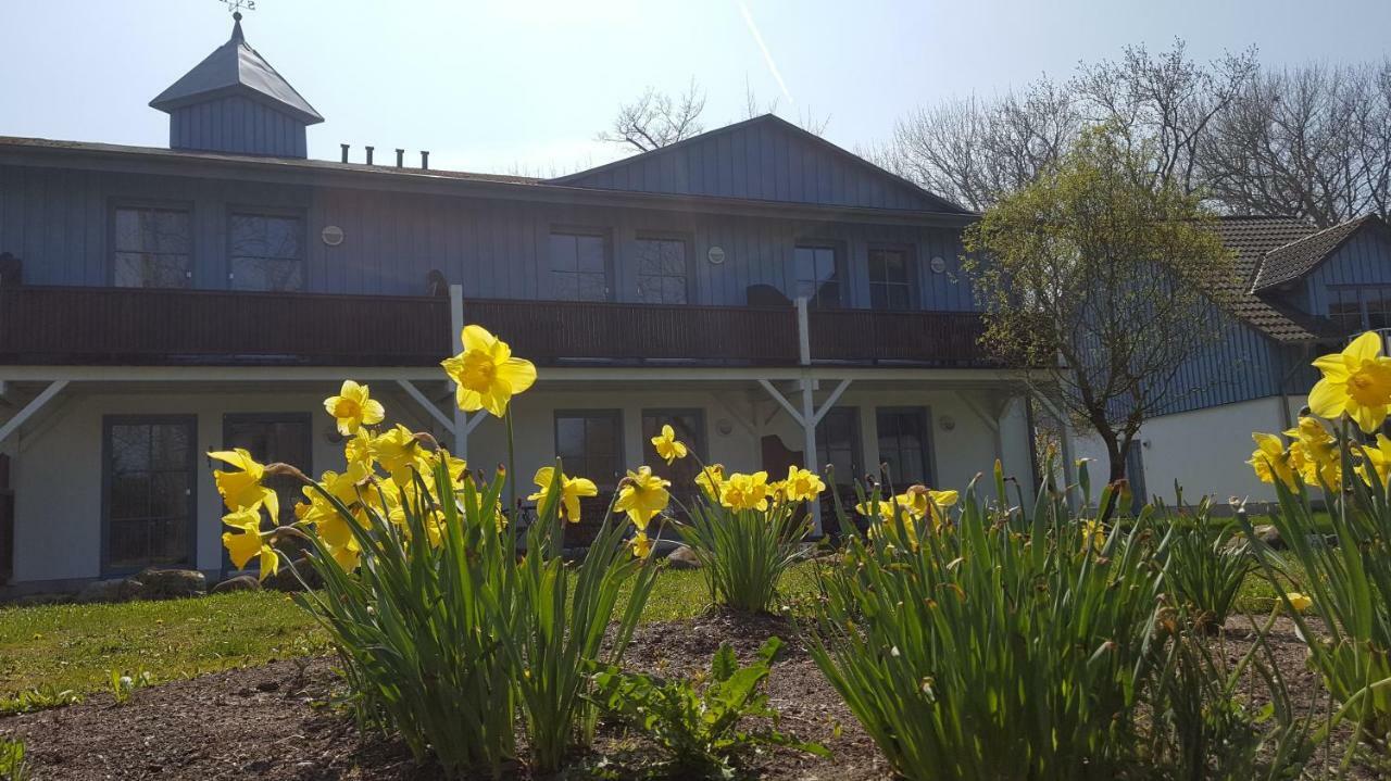 Ferienwohnung Finja In Putgarten, Kap Arkona Ruegen ภายนอก รูปภาพ