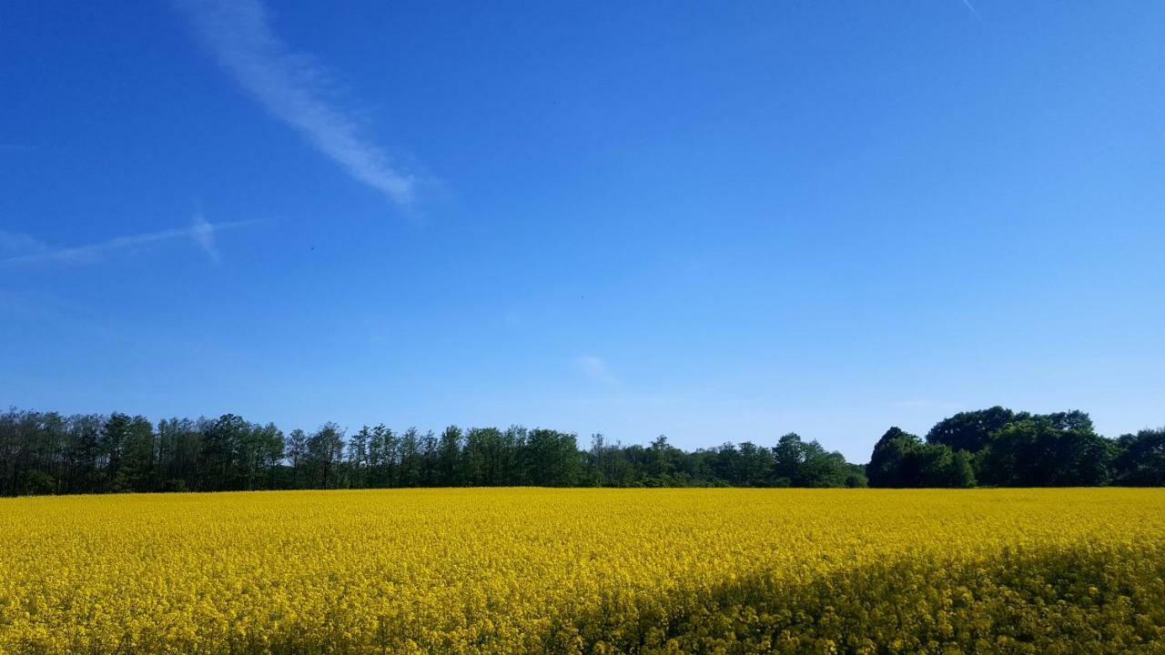 Ferienwohnung Finja In Putgarten, Kap Arkona Ruegen ภายนอก รูปภาพ
